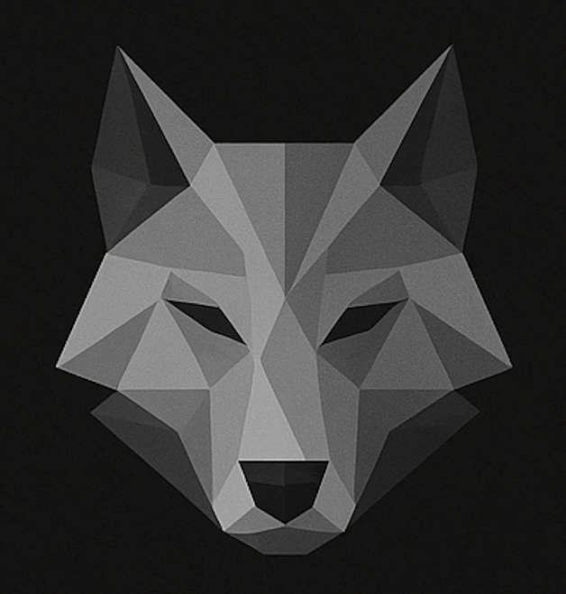 WF3D